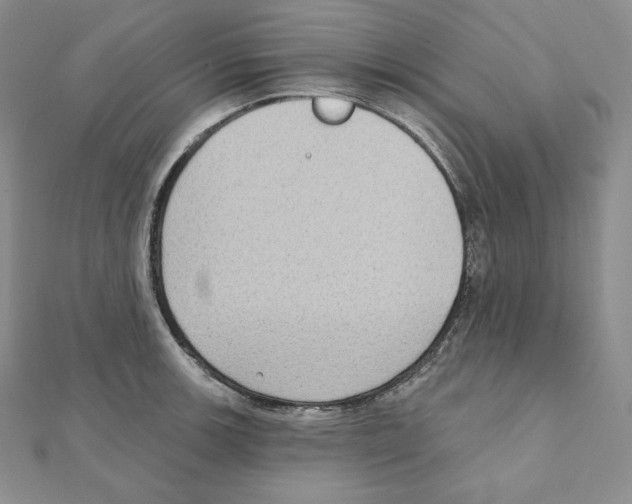 X0000111131139200907281045