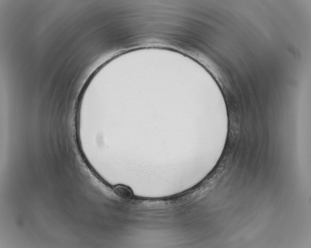 X0000111131142200907281045