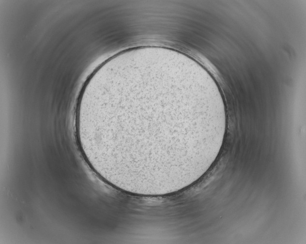 X0000111131144200907281045