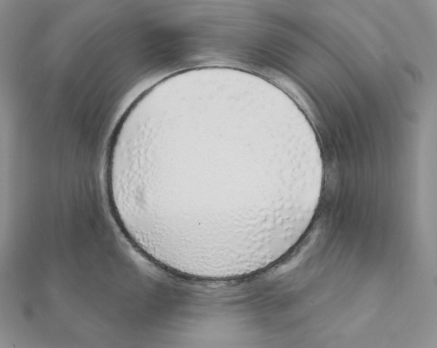 X0000111131149200907281045