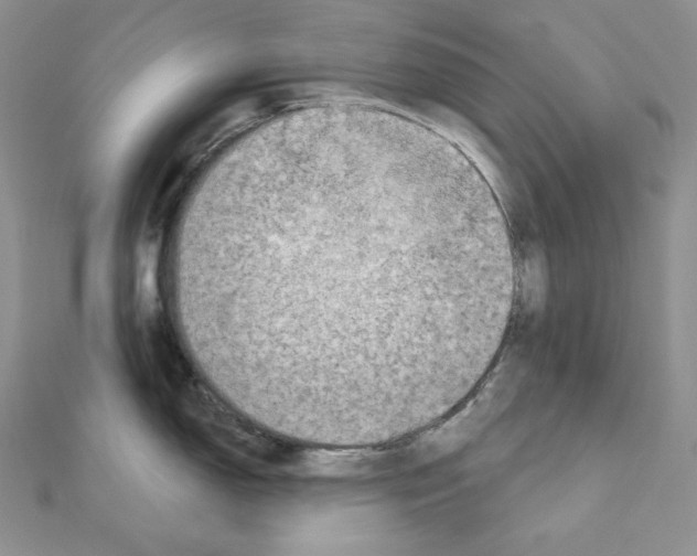 X0000111131150200907281045