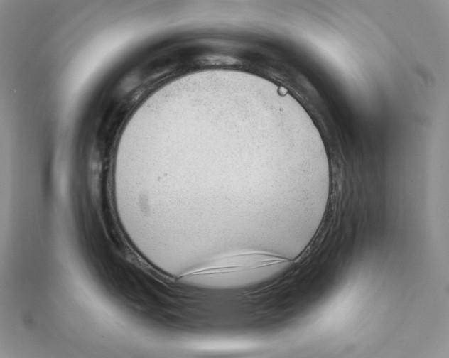 X0000111131151200907281045