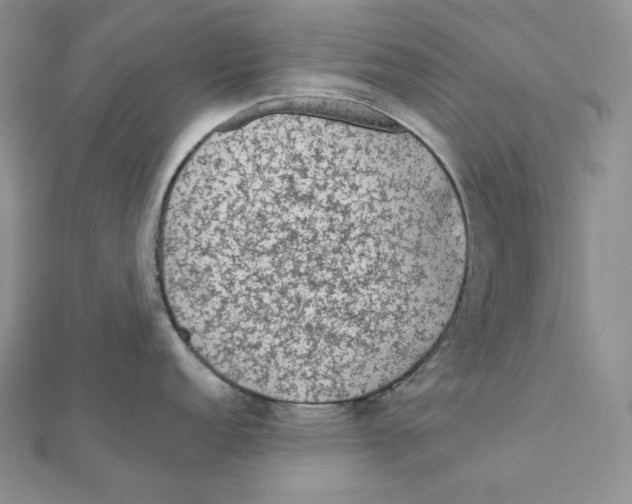 X0000111131152200907281045