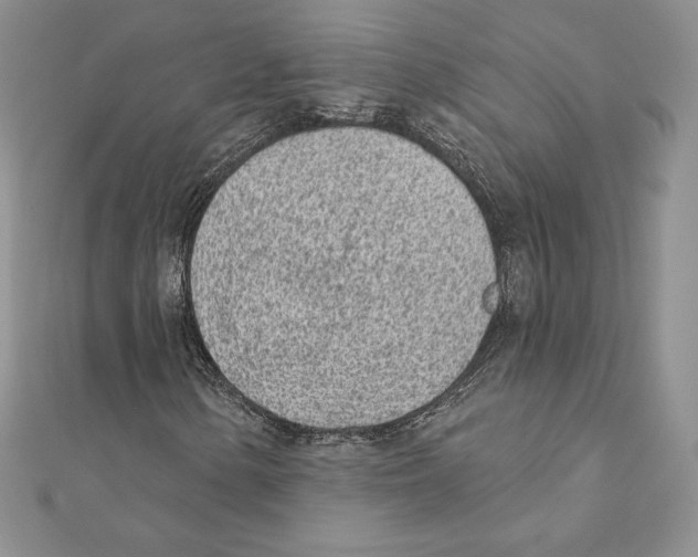 X0000111131154200907281044