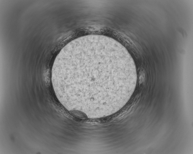 X0000111131156200907281044
