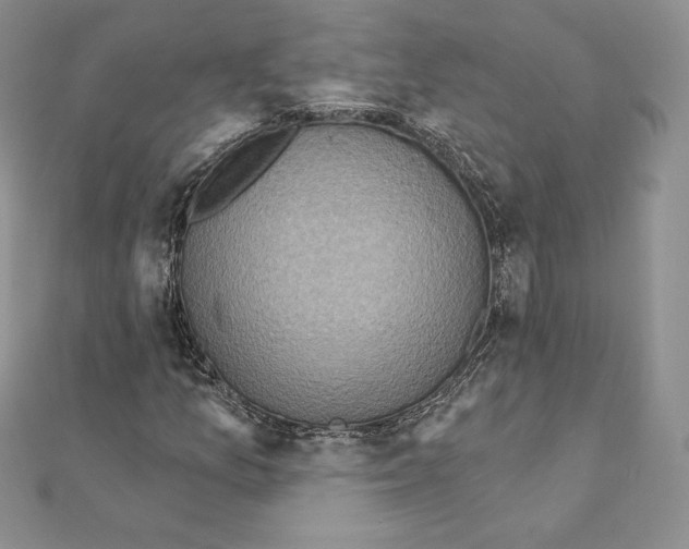 X0000111131157200907281044