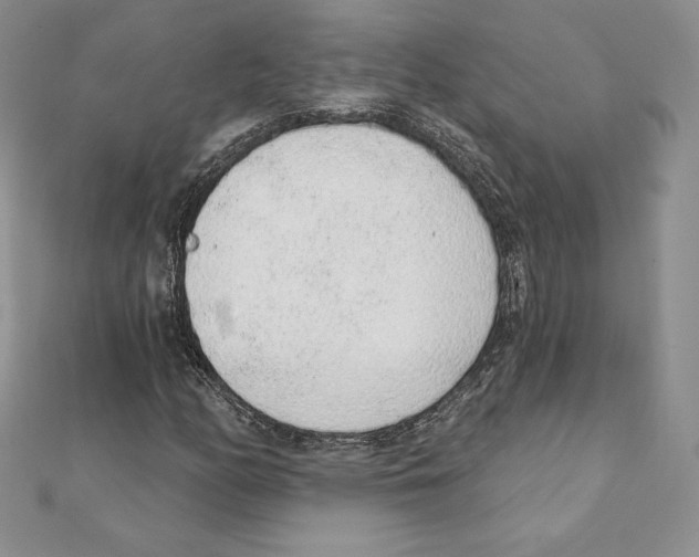 X0000111131158200907281044