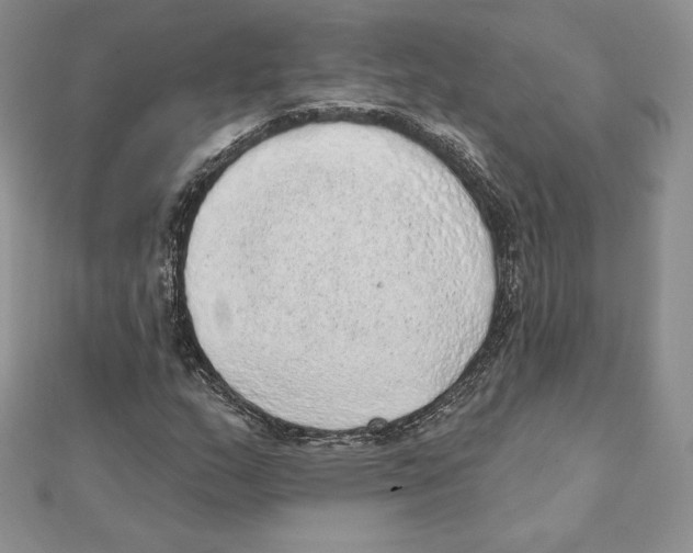 X0000111131159200907281044