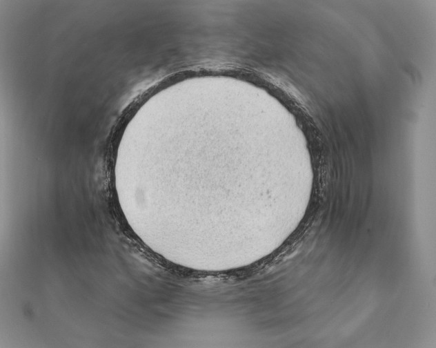 X0000111131160200907281044