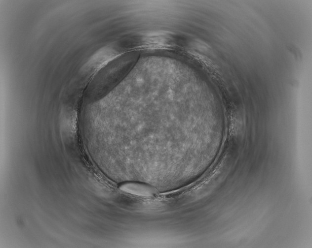 X0000111131161200907281044