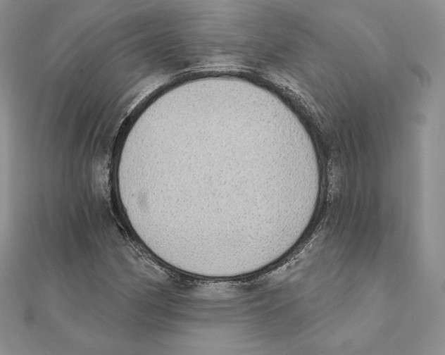 X0000111131162200907281044