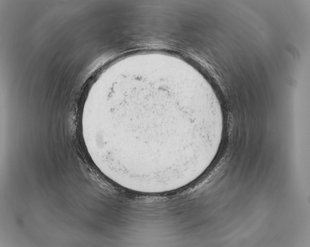 X0000111131163200907281044