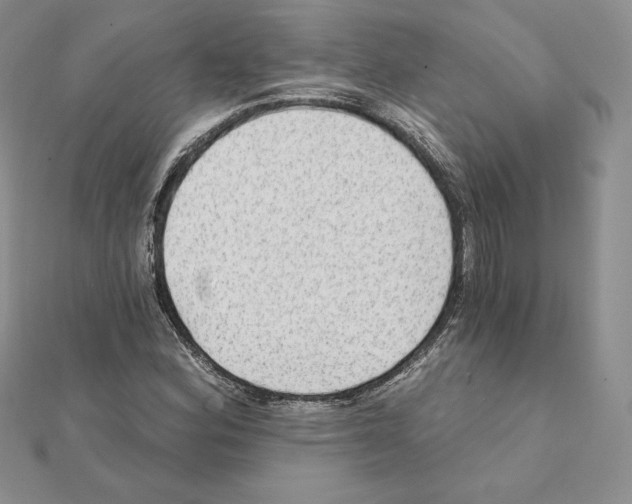 X0000111131164200907281044