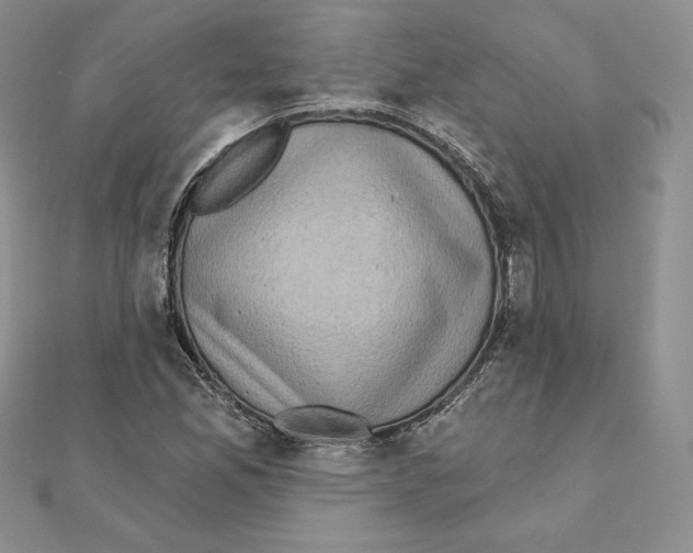 X0000111131165200907281044
