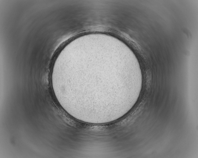 X0000111131166200907281044