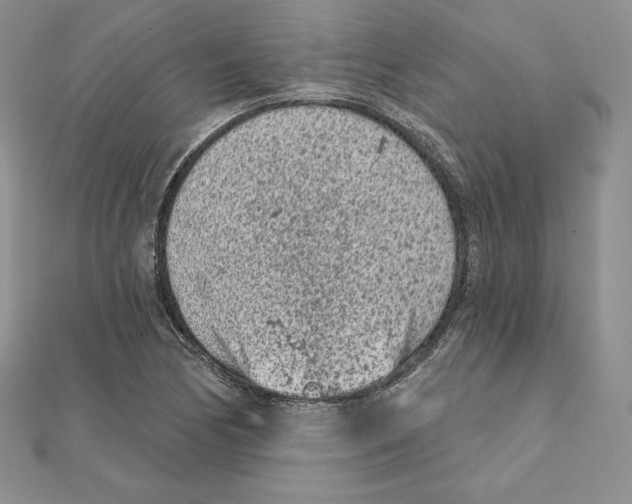 X0000111131170200907281044
