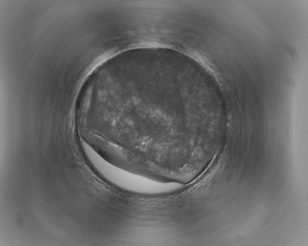 X0000111131173200907281044