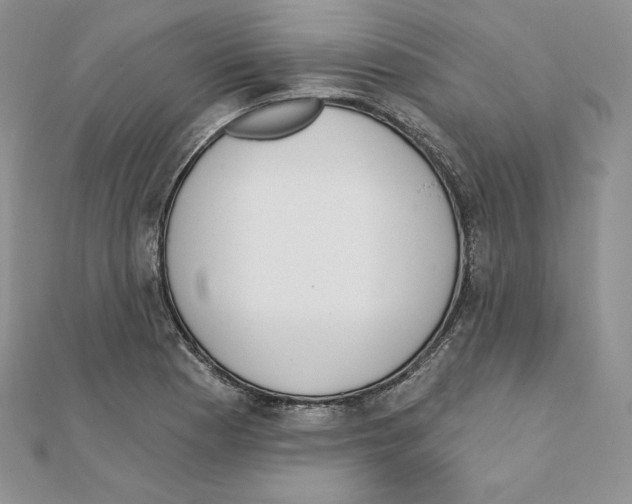 X0000111131177200907281044