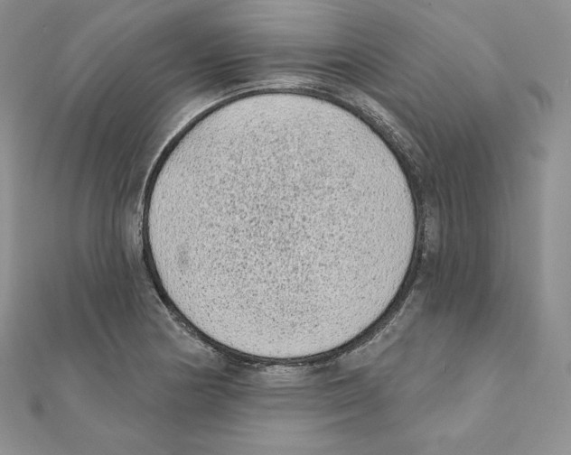 X0000111131178200907281044