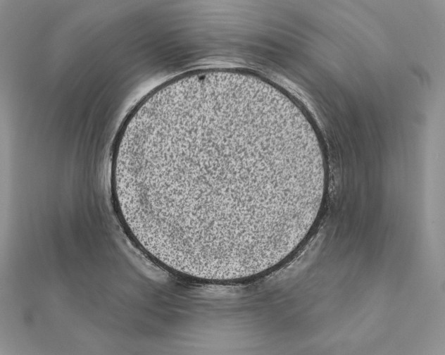 X0000111131179200907281044