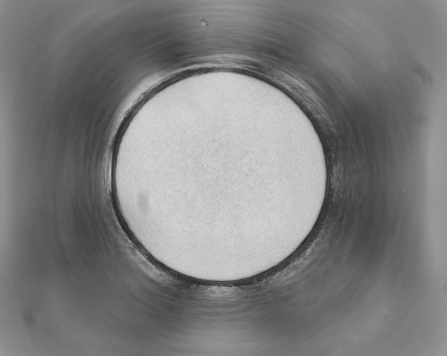X0000111131180200907281044