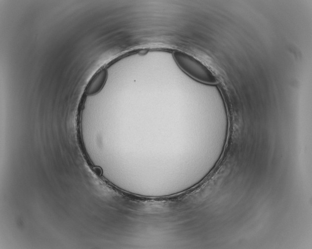 X0000111131181200907281044