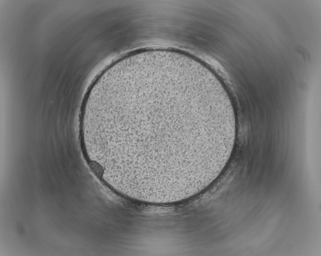 X0000111131183200907281044