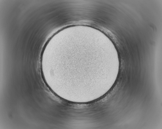 X0000111131184200907281044