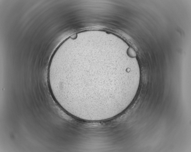 X0000111131186200907281044