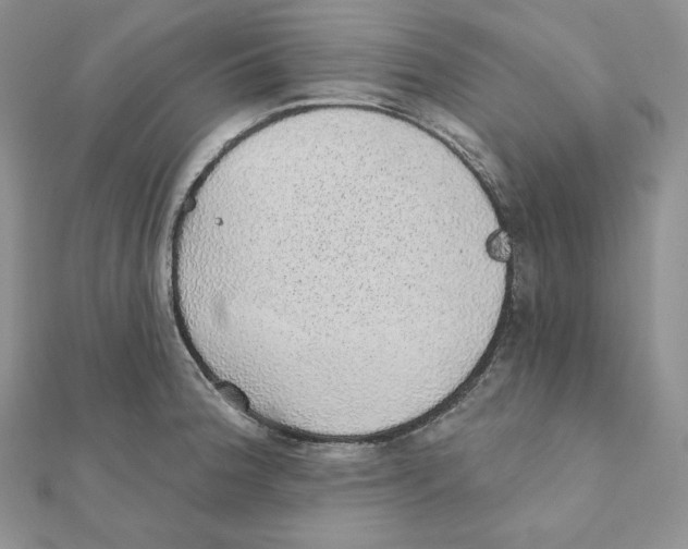 X0000111131188200907281044