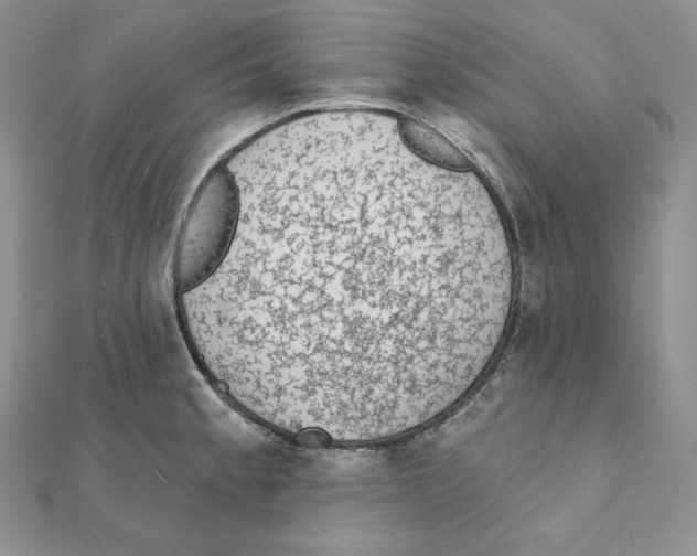 X0000111131189200907281044