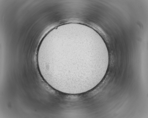 X0000111131190200907281044