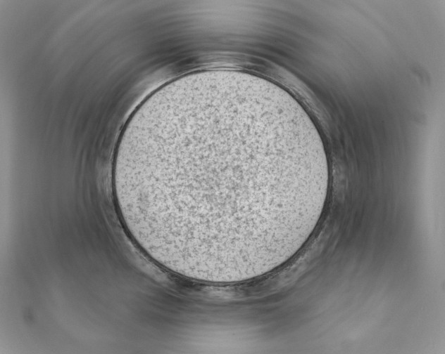 X0000111131194200907281044