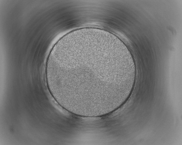 X0000111131200200907281044