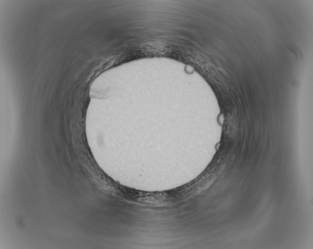 X0000111131201200907281043