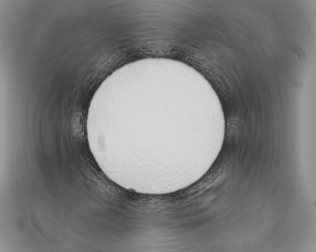 X0000111131202200907281043