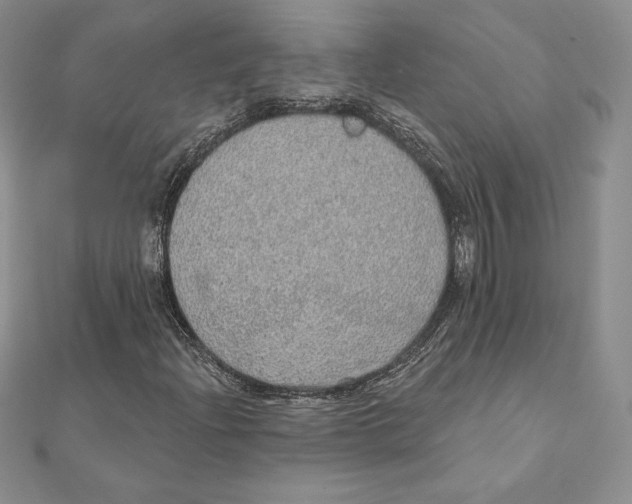 X0000111131204200907281043