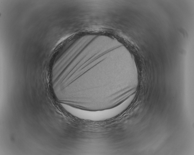 X0000111131206200907281043