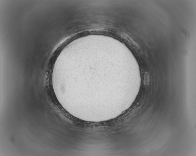 X0000111131208200907281043