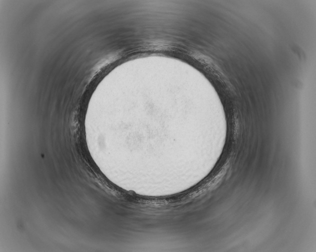 X0000111131210200907281043