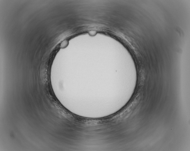 X0000111131211200907281043