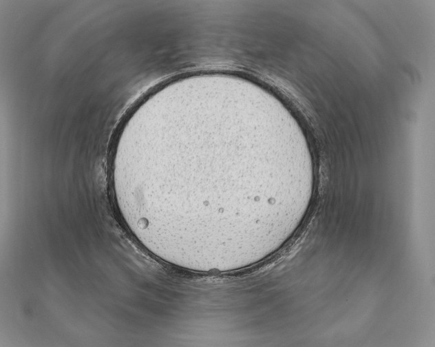 X0000111131212200907281043