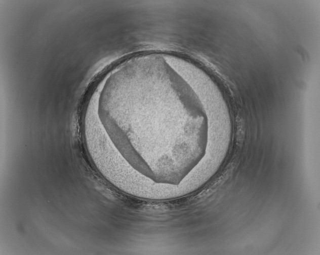 X0000111131215200907281043