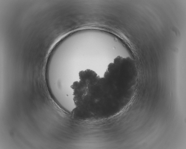 X0000111131216200907281043