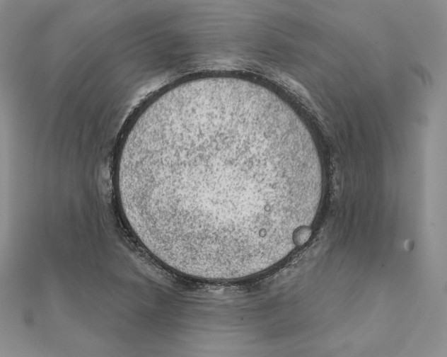 X0000111131218200907281043
