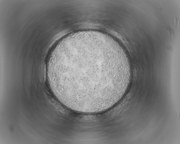 X0000111131219200907281043