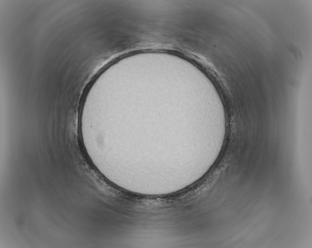 X0000111131220200907281043