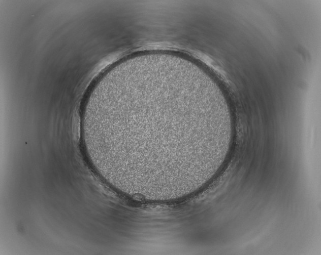 X0000111131221200907281043
