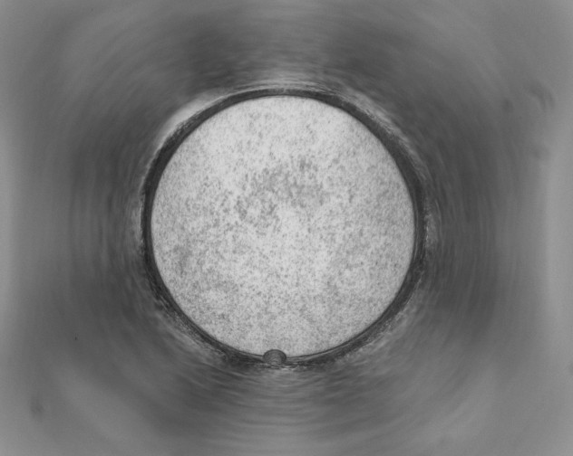 X0000111131222200907281043