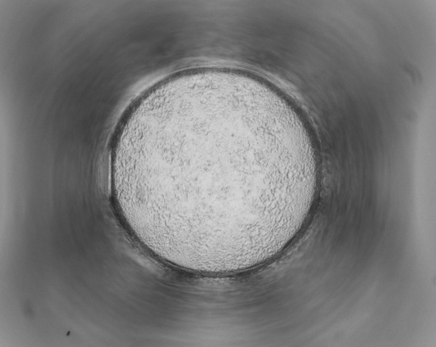X0000111131223200907281043
